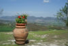 panoramaconfiori