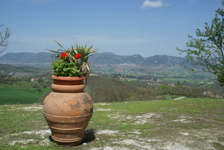 panoramaconfiori