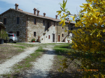 Vialeginestrella